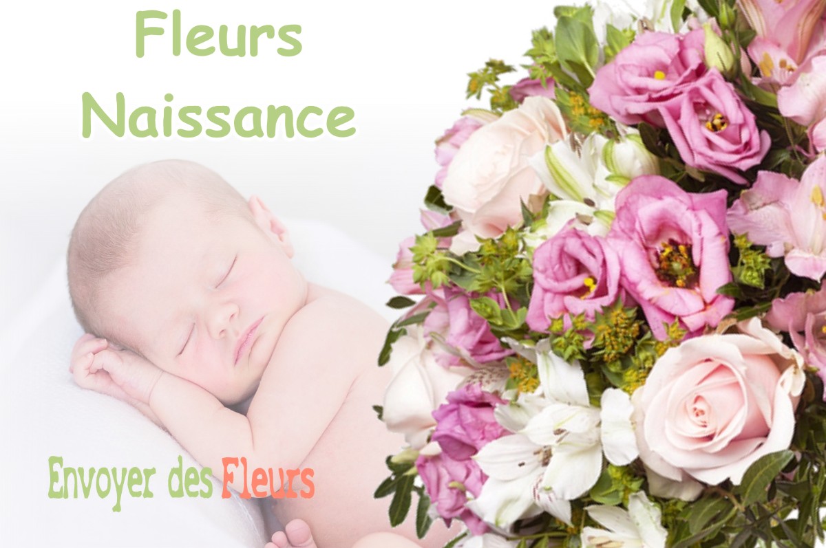 lIVRAISON FLEURS NAISSANCE à BORNAY